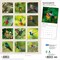 Plato; Hummingbirds | 2027 12 x 24 Inch (Hanging) Monthly Square Wall Calendar | Foil Stamped Cover; Category:Wall Calendars; Image:3
